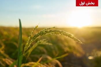 جنبه های مقرراتی و نظارتی فناوری نانو در بخش کشاورزی/خوراک/غذا در کشورهای عضو و غیرعضو اتحادیه اروپا – بخش اول