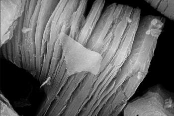 انتشار گزارش OECD درباره‌ مکسین‌های تیتانیوم کاربید